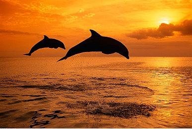 《天国：拯救2》战斗更容易上手 官方解释为何继续用CE引擎